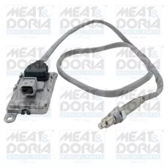 Capteur NOx, Catalyseur NOx MEAT & DORIA