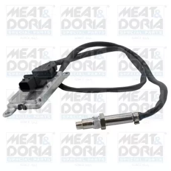 Capteur NOx, Catalyseur NOx MEAT & DORIA