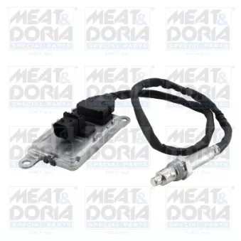 Capteur NOx, Catalyseur NOx MEAT & DORIA