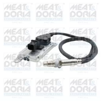 Capteur NOx, Catalyseur NOx MEAT & DORIA 57187