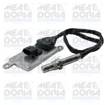 Capteur NOx, Catalyseur NOx MEAT & DORIA