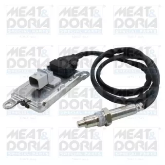 Capteur NOx, Catalyseur NOx MEAT & DORIA
