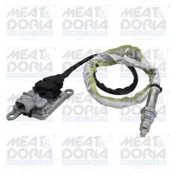 Capteur NOx, Catalyseur NOx MEAT & DORIA 57227