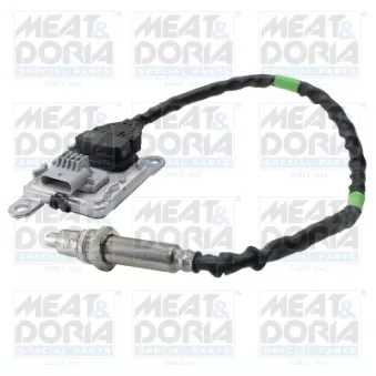 Capteur NOx, Catalyseur NOx MEAT & DORIA