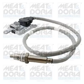 Capteur NOx, Catalyseur NOx MEAT & DORIA