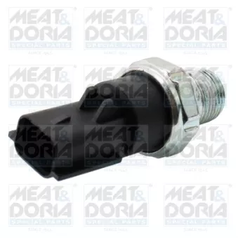Indicateur de pression d'huile MEAT & DORIA 72152