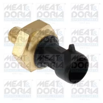 Capteur, pression des gaz échappement MEAT & DORIA