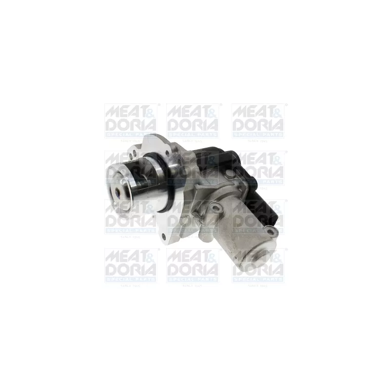 Vanne EGR MEAT & DORIA 88411E