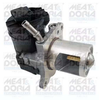 Vanne EGR MEAT & DORIA 88489R