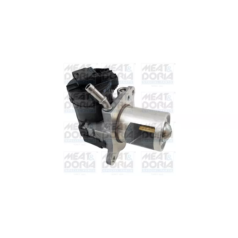 Vanne EGR MEAT & DORIA 88489R