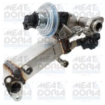 Module-EGR MEAT & DORIA 88772
