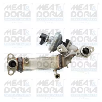 Module-EGR MEAT & DORIA 88773