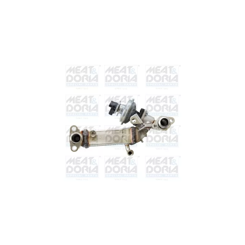 Module-EGR MEAT & DORIA 88773