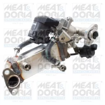 Module-EGR MEAT & DORIA 88774
