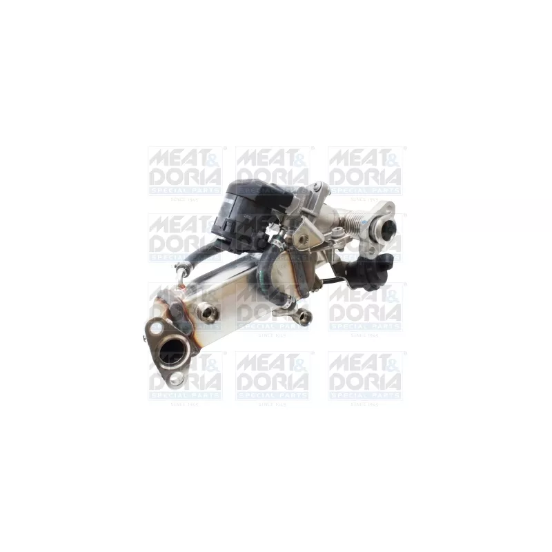 Module-EGR MEAT & DORIA 88774