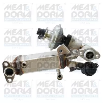Module-EGR MEAT & DORIA 88775