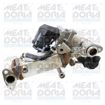Module-EGR MEAT & DORIA 88776