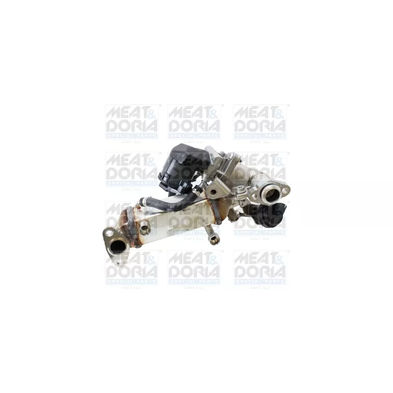 Module-EGR MEAT & DORIA 88776