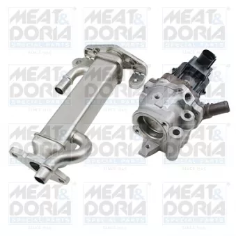 Module-EGR MEAT & DORIA 88844