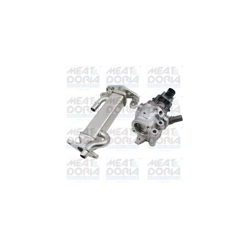 Module-EGR MEAT & DORIA 88844