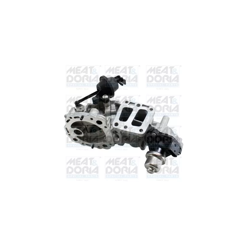 Vanne EGR MEAT & DORIA 88851