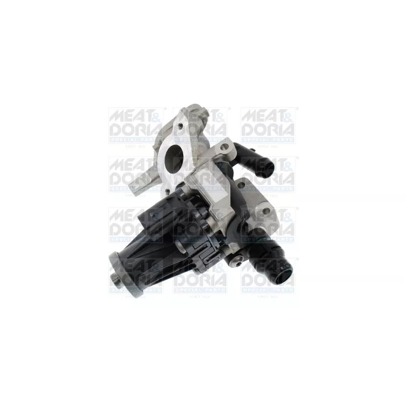 Vanne EGR MEAT & DORIA 88871