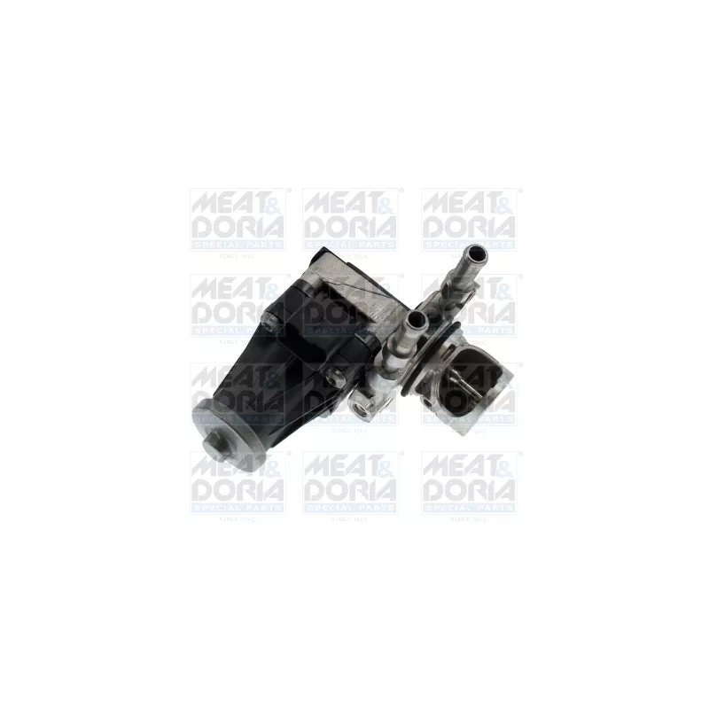 Vanne EGR MEAT & DORIA 88882