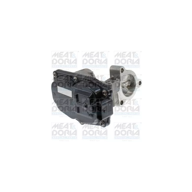 Vanne EGR MEAT & DORIA 88899