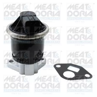 Vanne EGR MEAT & DORIA 88923