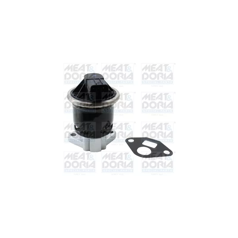 Vanne EGR MEAT & DORIA 88923