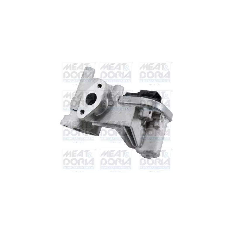 Vanne EGR MEAT & DORIA 88924