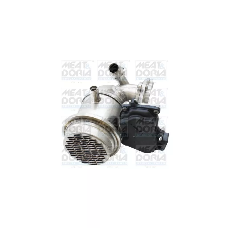 Module-EGR MEAT & DORIA 88940