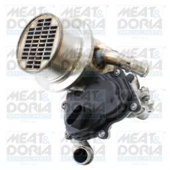 Module-EGR MEAT & DORIA 88942