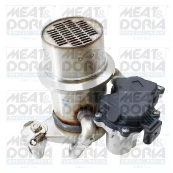 Module-EGR MEAT & DORIA 88943