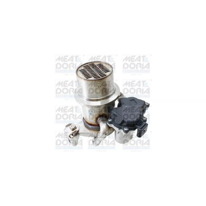 Module-EGR MEAT & DORIA 88943