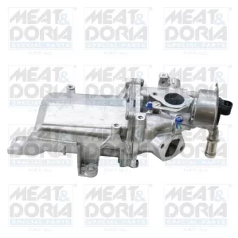 Module-EGR MEAT & DORIA 88944