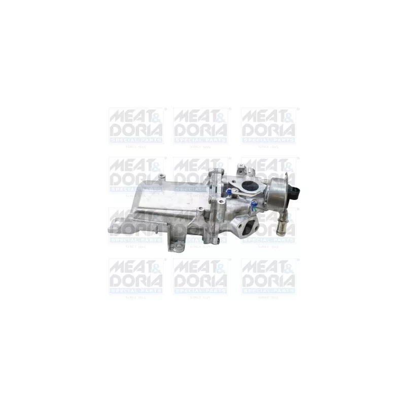Module-EGR MEAT & DORIA 88944