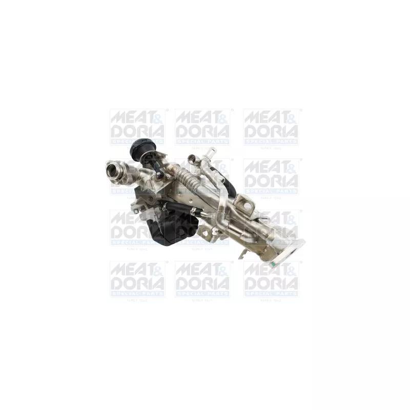 Module-EGR MEAT & DORIA 88959