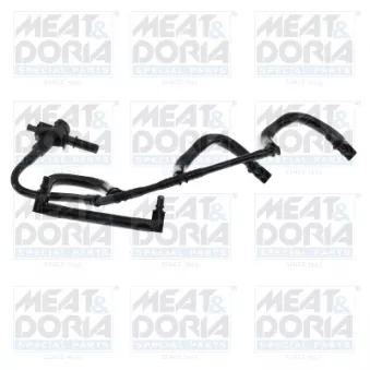 Tuyau, carburant de fuite MEAT & DORIA 98600