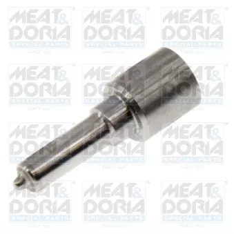Buse/Gicleur/Injecteur MEAT & DORIA