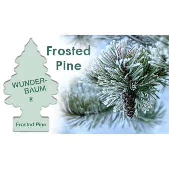 Désodorisant pour voiture Wunder Baum - Pin givré AMIO 23-190
