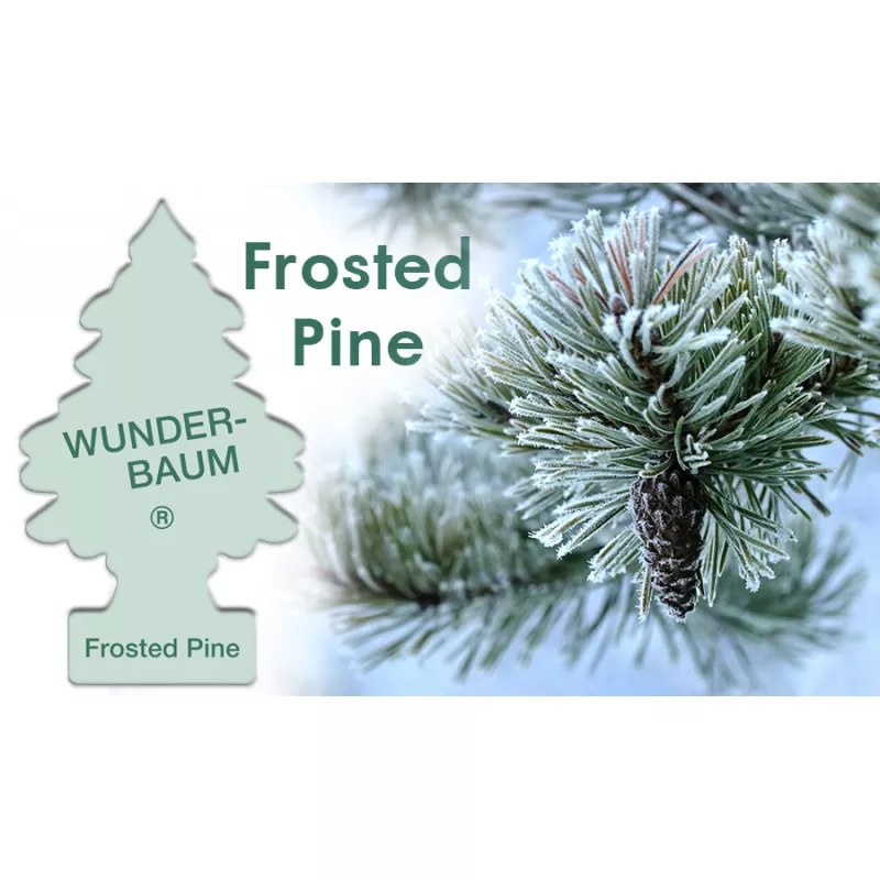 Désodorisant pour voiture Wunder Baum - Pin givré AMIO 23-190