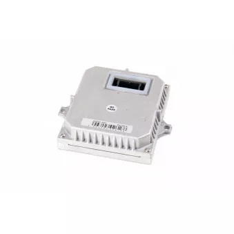 OEM ballast D1/3(A5) AMIO 02616