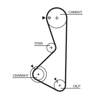 Courroie de distribution GATES 1075RM
