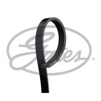 Courroie trapézoïdale à nervures GATES 4PK760