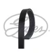 Courroie trapézoïdale à nervures GATES 5PK1595 - Visuel 1