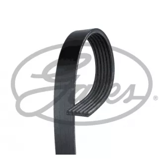 Courroie trapézoïdale à nervures GATES 6PK1393XS