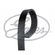 Courroie trapézoïdale à nervures GATES 6PK803SF - Visuel 1