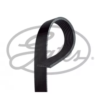 Courroie trapézoïdale à nervures GATES 7PK1163XS