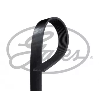 Courroie trapézoïdale à nervures GATES 8PK1305